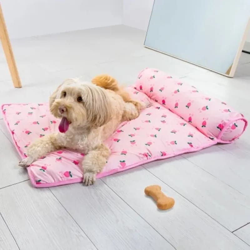 Cama refrigerante para mascotas