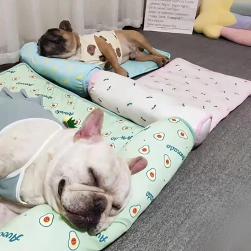 Cama refrigerante para mascotas