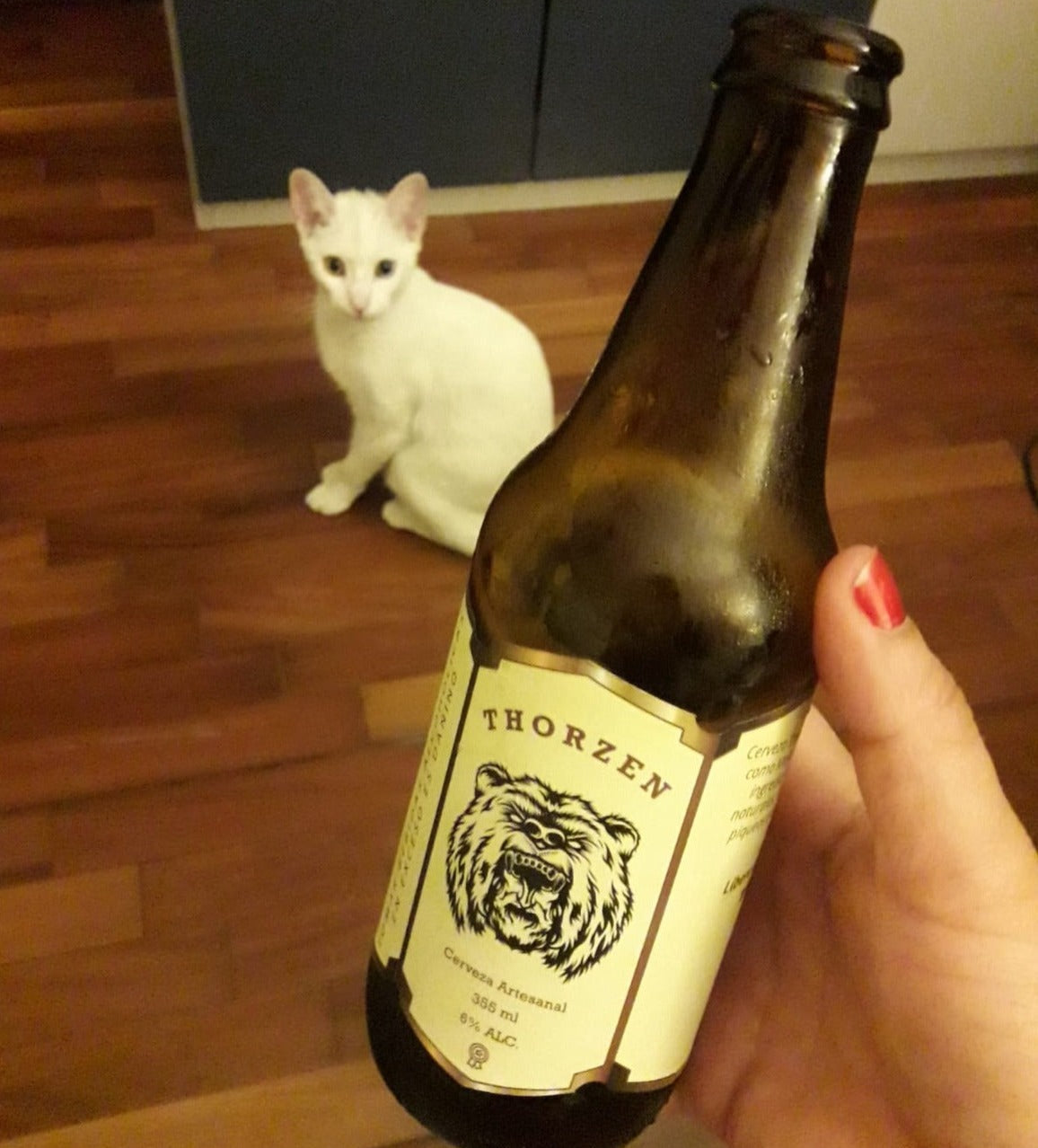 THORZEN TRADICIÓN Cerveza Artesanal